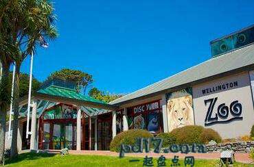 世界上最好的动物园Top8：新西兰惠灵顿动物园