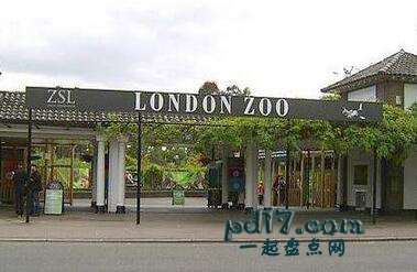 世界上最好的动物园Top7：英国伦敦动物园