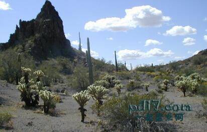 美国最热门的自然景点Top7：亚利桑那州尤马