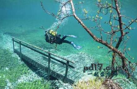 世界上神奇的自然现象Top4：绿色湖，奥地利：水下童话故事