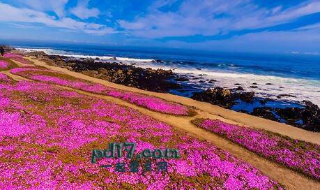 海岸线徒步旅行线Top9：加利福尼亚海岸线 美国
