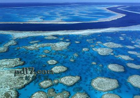 世界上著名的自然奇观Top2：大堡礁