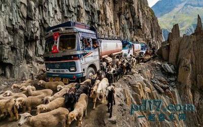 世界上最危险的公路Top6：印度佐吉拉山公路