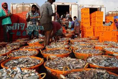 世界上最大的海鲜出口国Top5：印度（46亿美元）