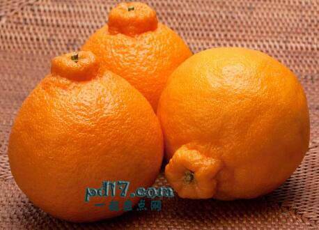 世界上最贵的水果Top8：Dekopon柑橘（80美元/6个水果）