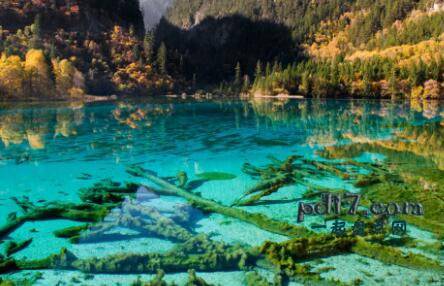 世界上玻璃、水晶般的景色的Top5：中国五花湖