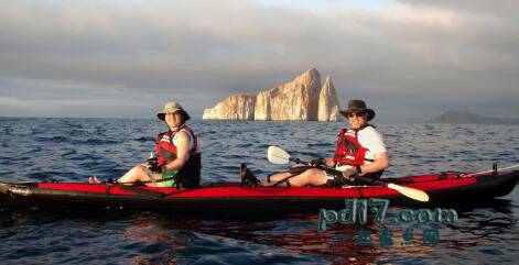 全球最佳的海上皮划艇地点Top6：厄瓜多尔 加拉帕戈斯国家公园
