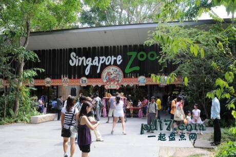 新加坡著名旅游景点Top1：新加坡动物园