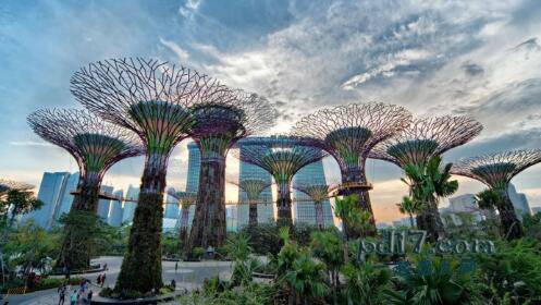 新加坡著名旅游景点Top10：滨海湾花园