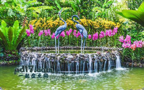 新加坡著名旅游景点Top8：植物园
