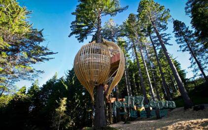 世界上最豪华壮观的树屋Top5：Yellow Treehouse Restaurant（新西兰奥克兰）