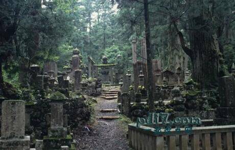 日本旅游最值得去的地方Top10：高野山