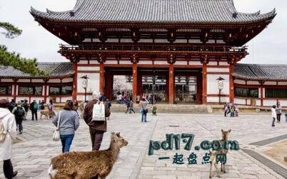 日本旅游最值得去的地方Top3：奈良
