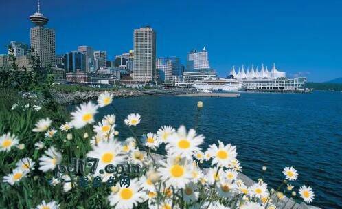 世界上最环保的城市Top5：温哥华