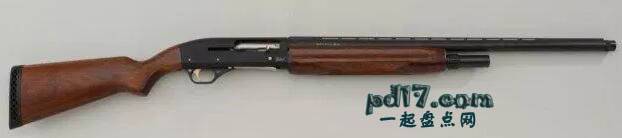 世界上最佳的霰弹枪Top8：Baikal MP- 153