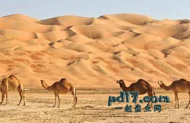 世界上最热的国家Top2：沙特阿拉伯