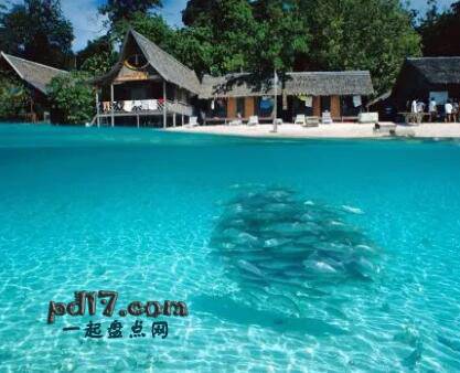 世界上最佳的潜水地点Top10：西巴丹岛 婆罗洲