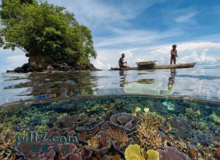 世界上最佳的潜水地点Top3：金贝湾 巴布亚新几内亚