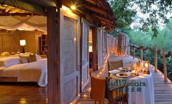 Top4：Beyond Lake Manyara Tree Lodge酒店 坦桑尼亚