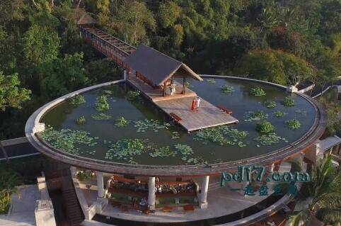 Top2：巴厘岛乌布四季度假酒店