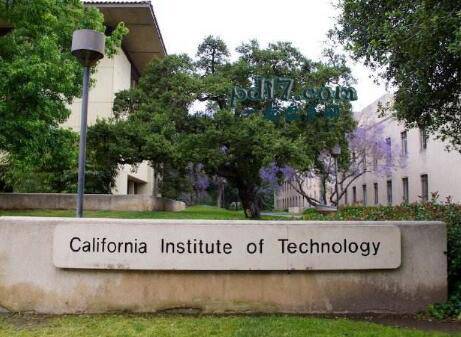 Top7：加州理工大学