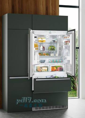 Top5：Liebherr ECBN 6256 PremiumPlus Refrigerator $8,953