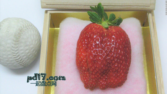 #1：美人姬草莓 每颗460-4400美元